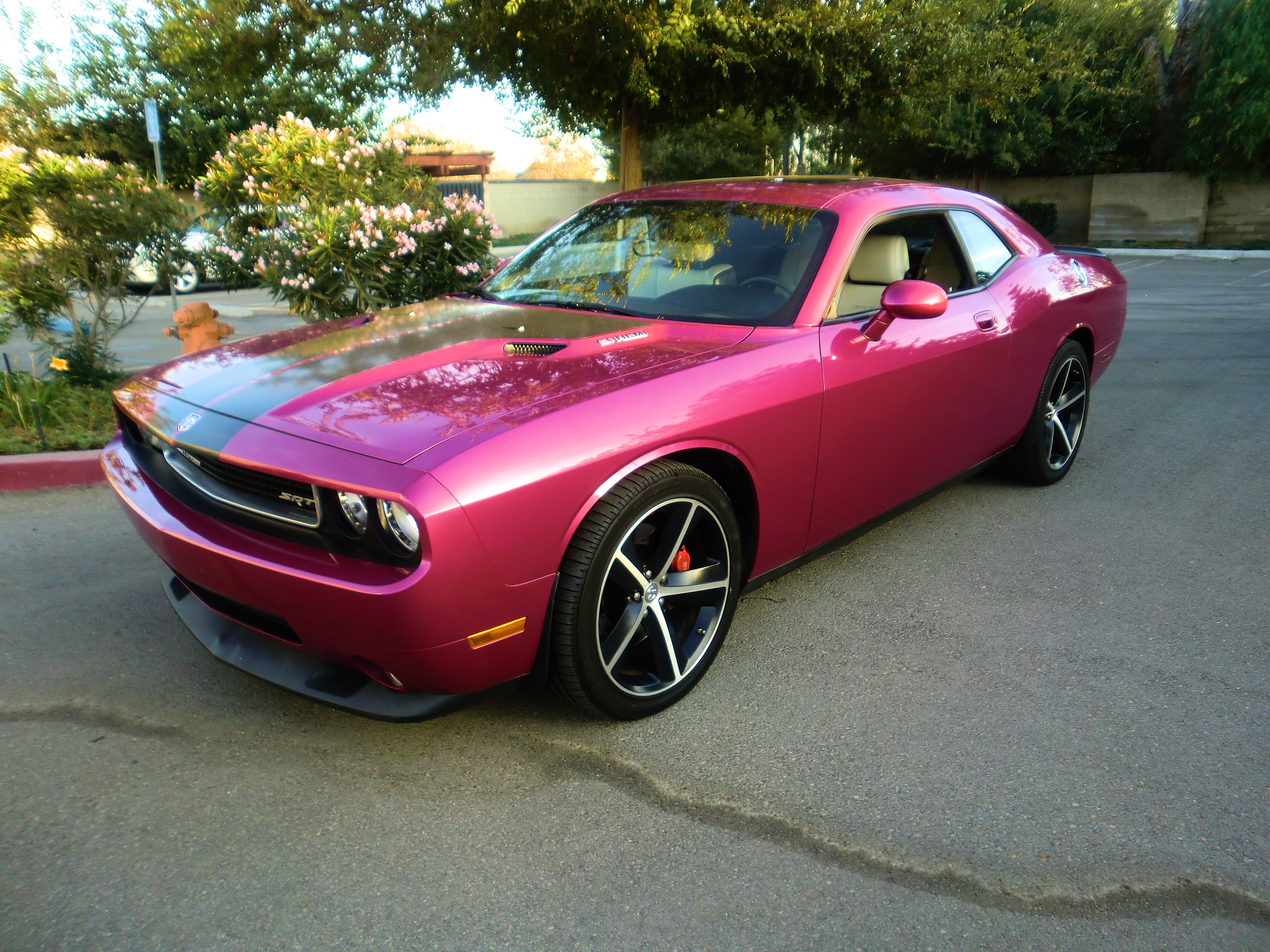 SRT8ChallPurple/25a60.JPG
