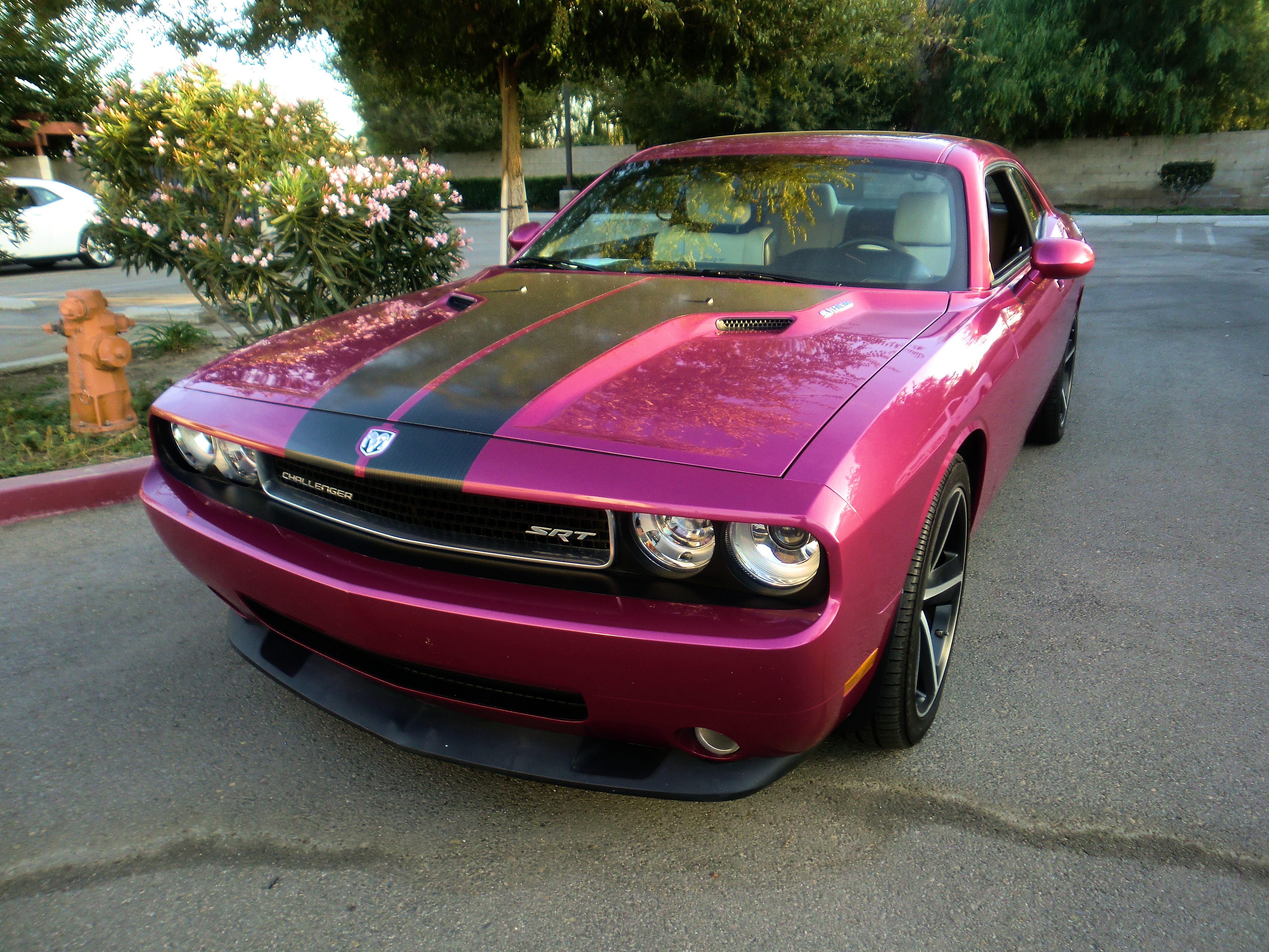 SRT8ChallPurple/25a60.JPG
