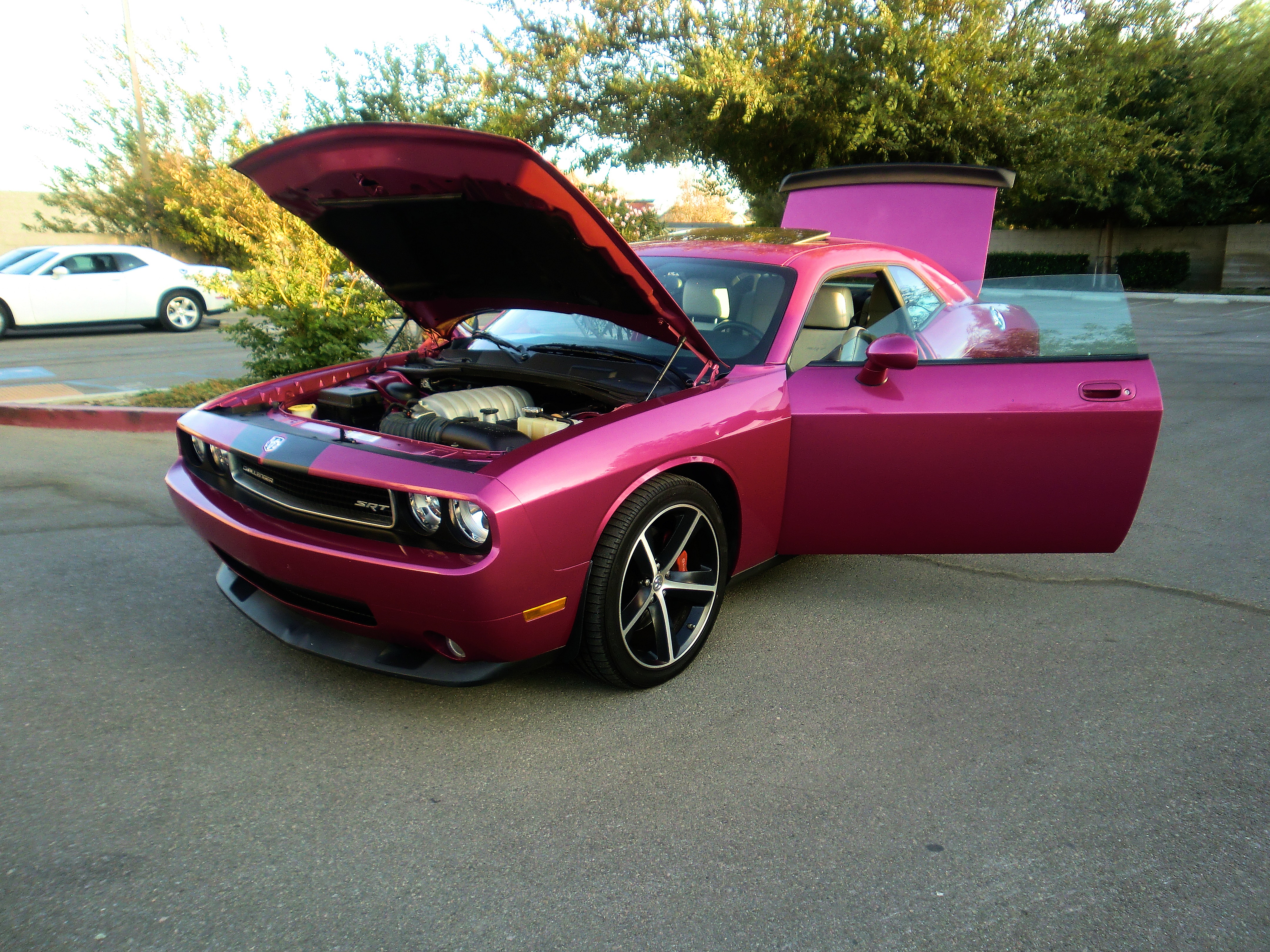 SRT8ChallPurple/25a60.JPG