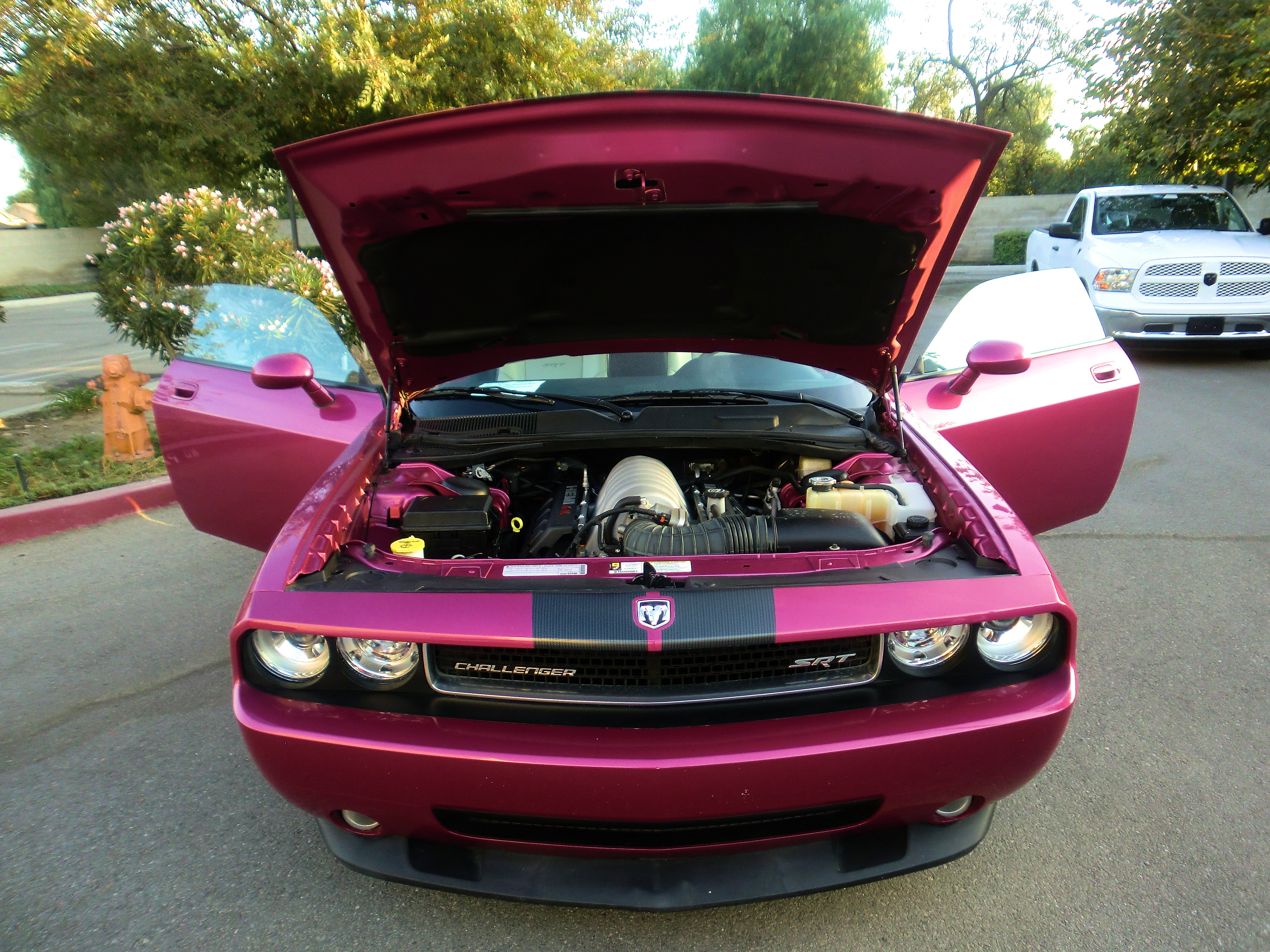 SRT8ChallPurple/25a69.JPG
