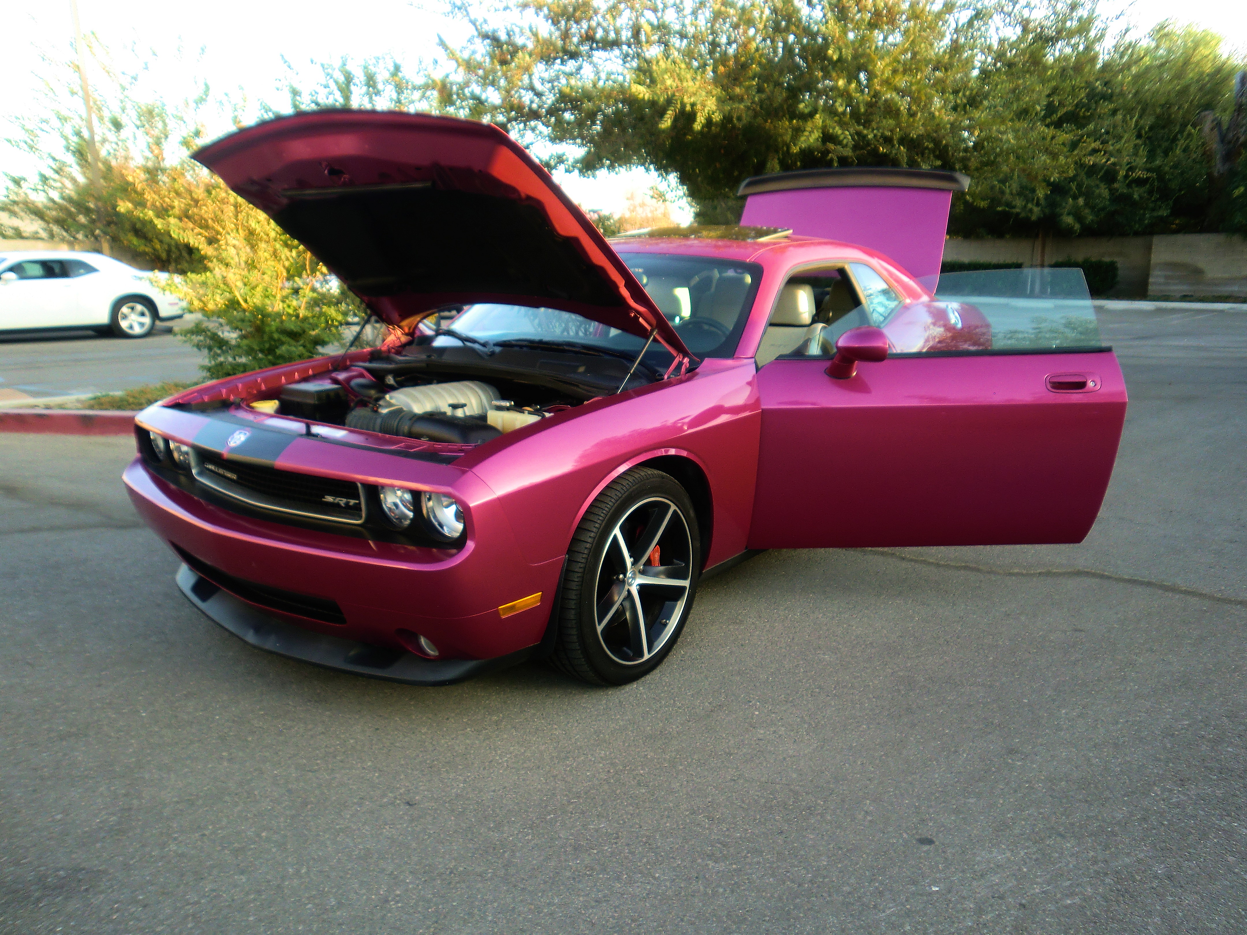 SRT8ChallPurple/25a69.JPG