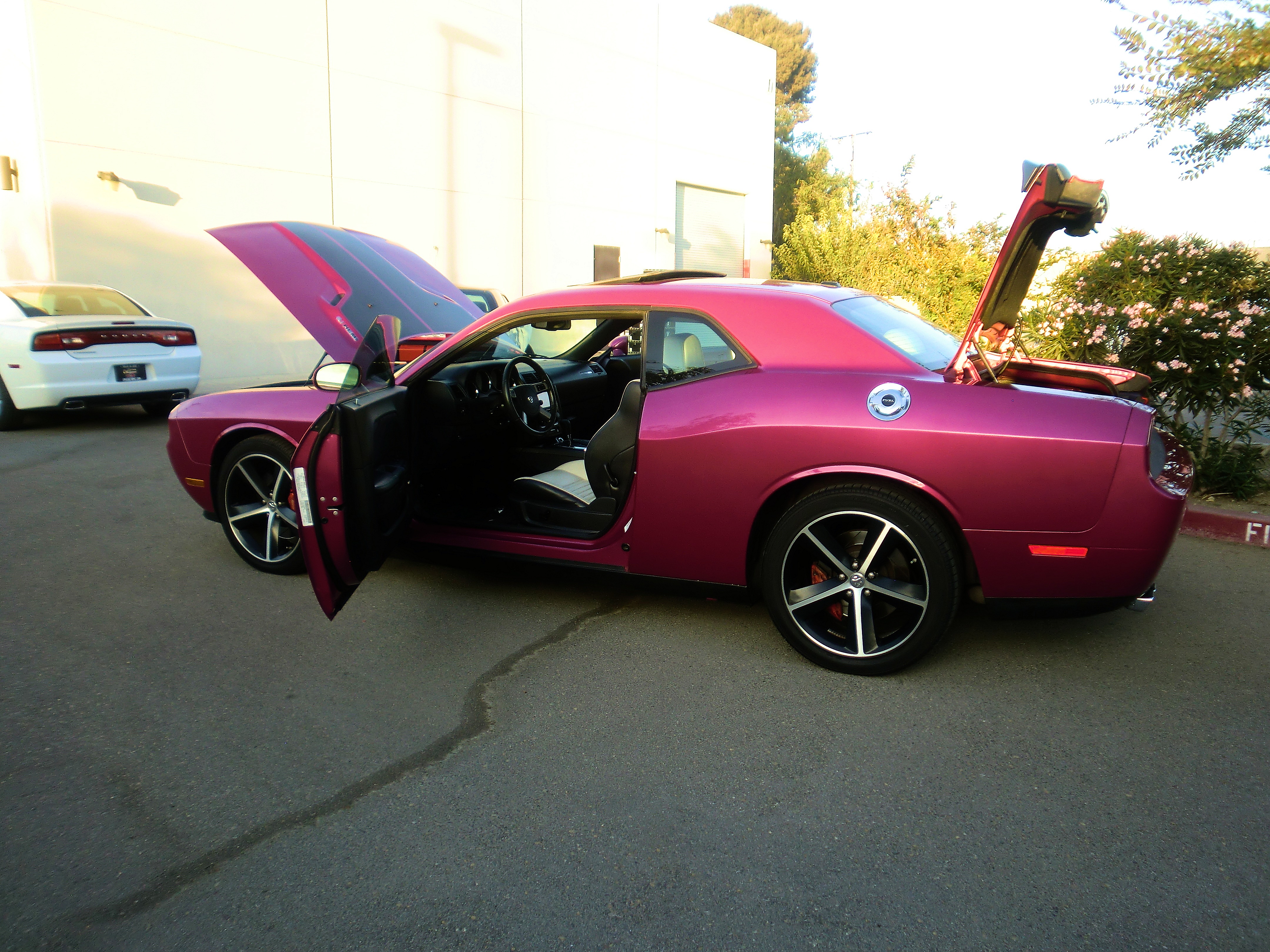 SRT8ChallPurple/25a69.JPG