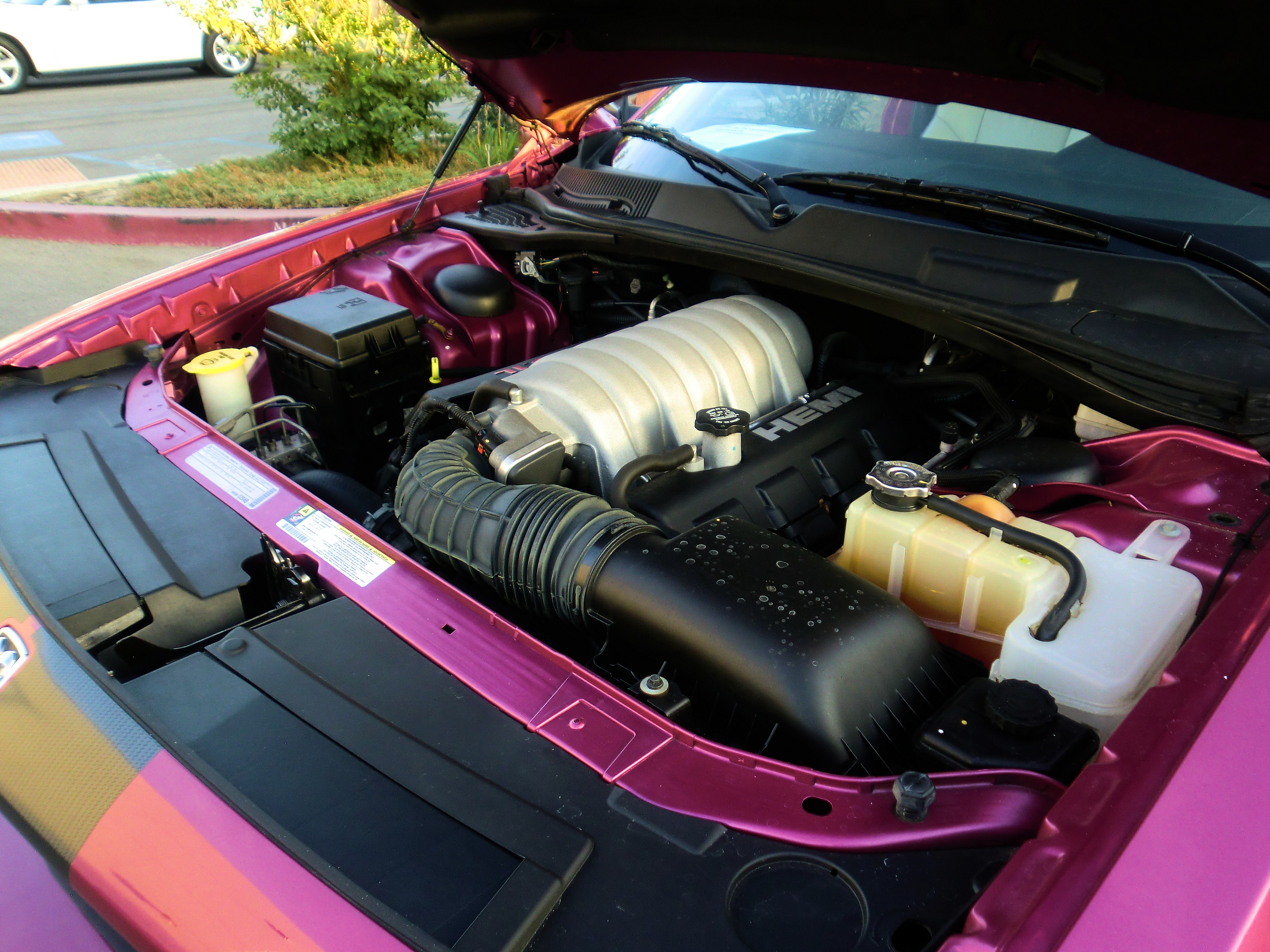 SRT8ChallPurple/25a69.JPG