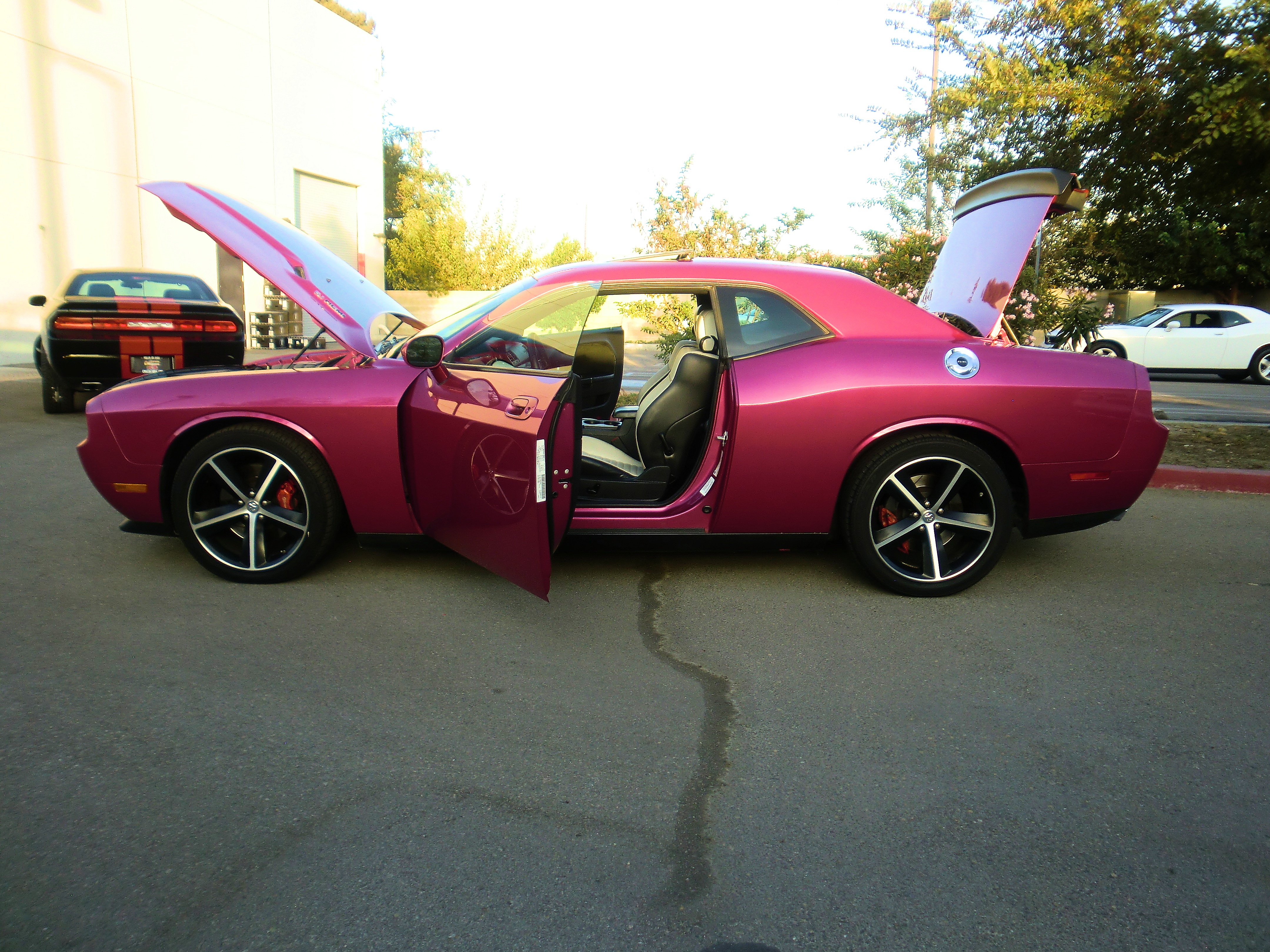SRT8ChallPurple/25a69.JPG