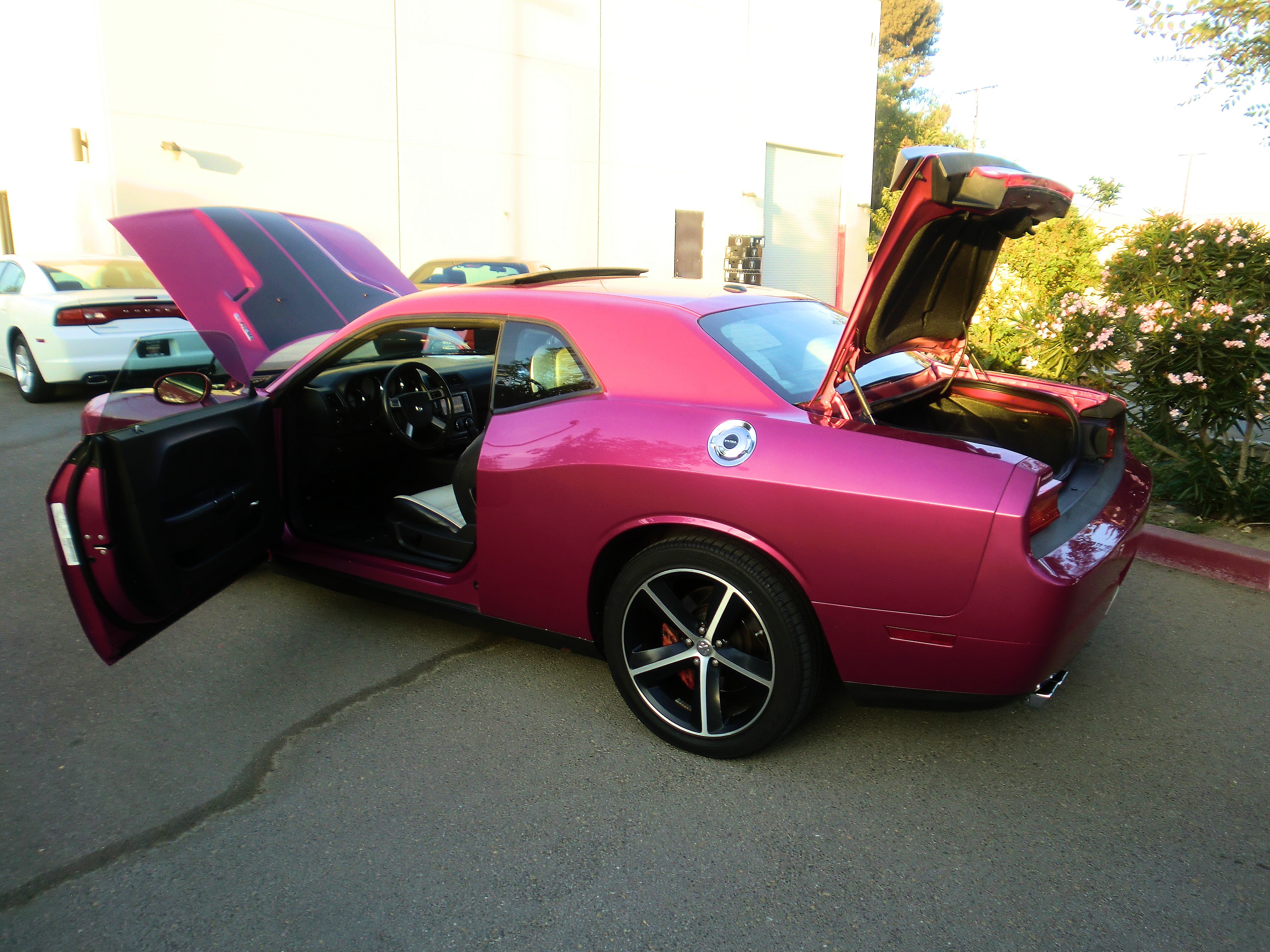 SRT8ChallPurple/25a69.JPG
